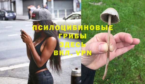 МДПВ Арсеньев