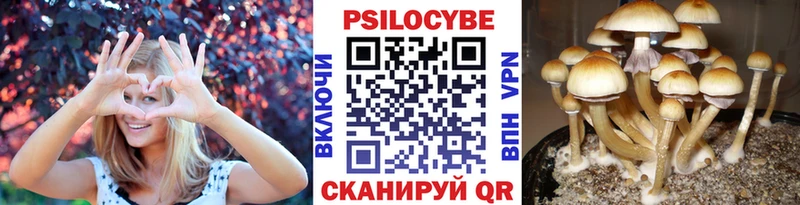 Псилоцибиновые грибы Psilocybine cubensis Орлов