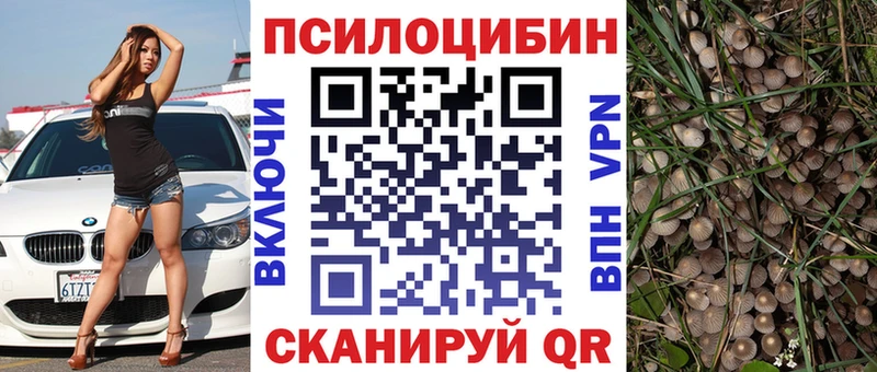 Галлюциногенные грибы MAGIC MUSHROOMS  наркошоп  Орлов 